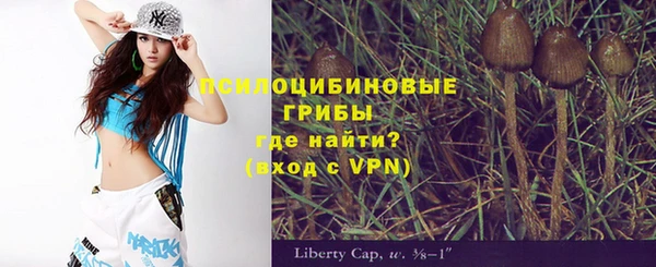 MDMA Premium VHQ Вяземский