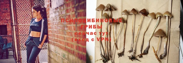 MDMA Premium VHQ Вяземский