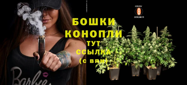 МДПВ Вязьма